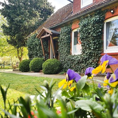 Am Alten Haus Altenmedingen المظهر الخارجي الصورة